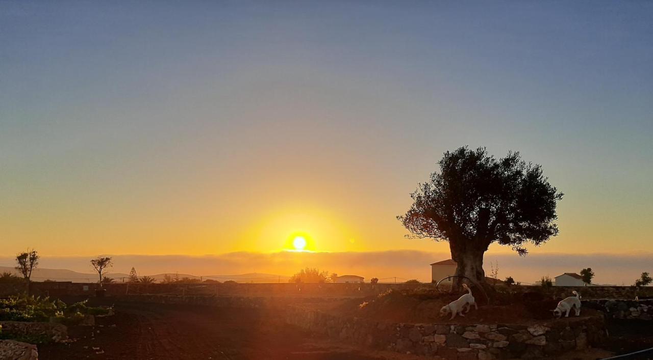 Agriturismo El Bounty1 Daire Puerto del Rosario  Dış mekan fotoğraf