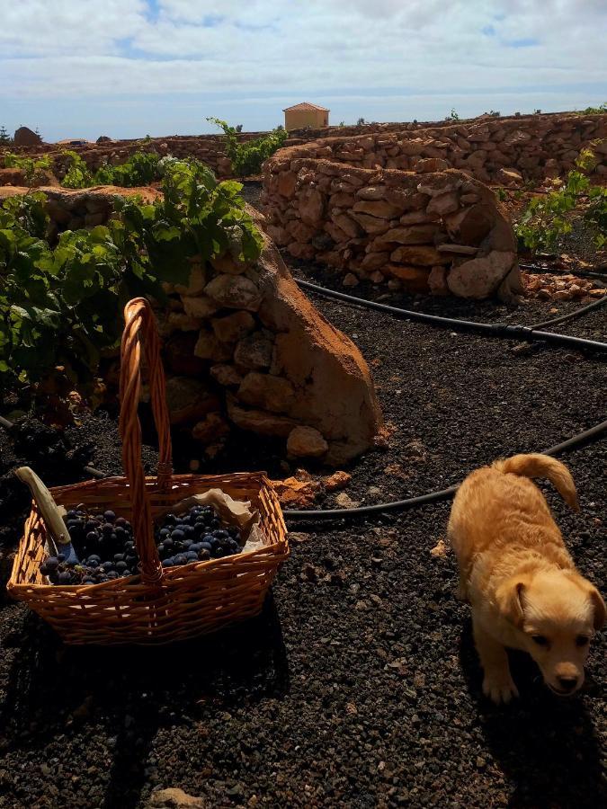 Agriturismo El Bounty1 Daire Puerto del Rosario  Dış mekan fotoğraf