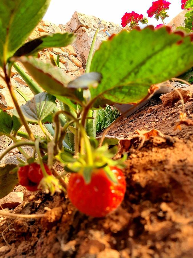 Agriturismo El Bounty1 Daire Puerto del Rosario  Dış mekan fotoğraf