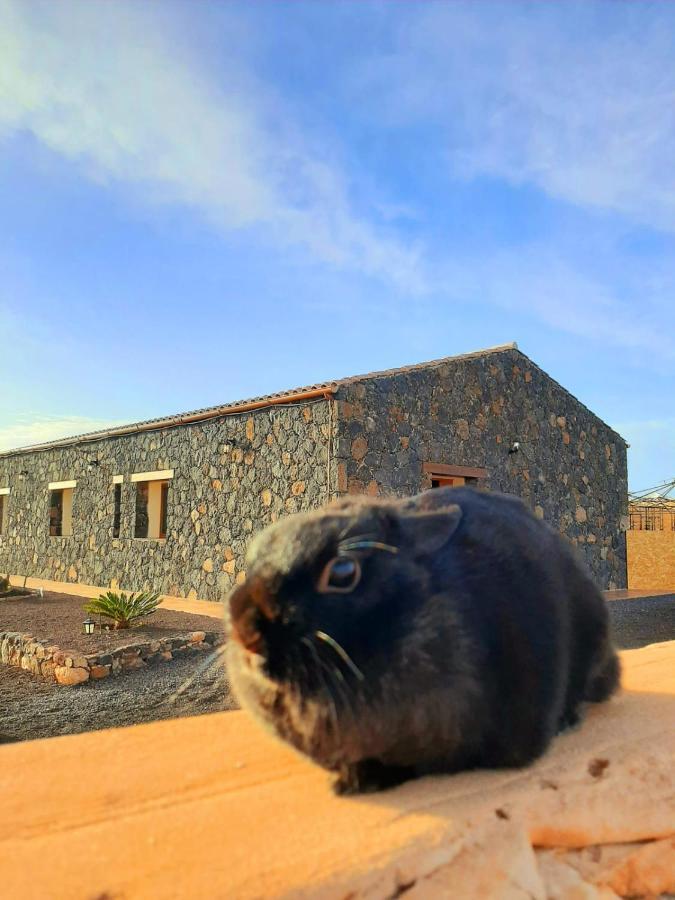 Agriturismo El Bounty1 Daire Puerto del Rosario  Dış mekan fotoğraf