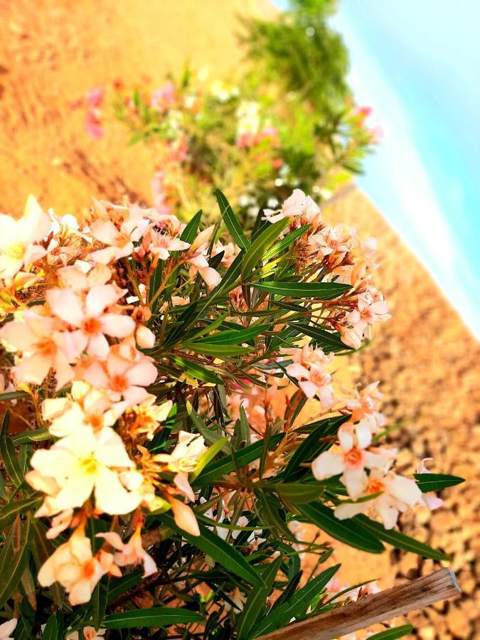 Agriturismo El Bounty1 Puerto del Rosario  Dış mekan fotoğraf