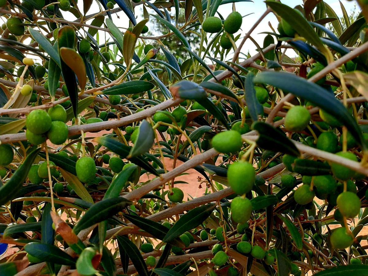 Agriturismo El Bounty1 Daire Puerto del Rosario  Dış mekan fotoğraf