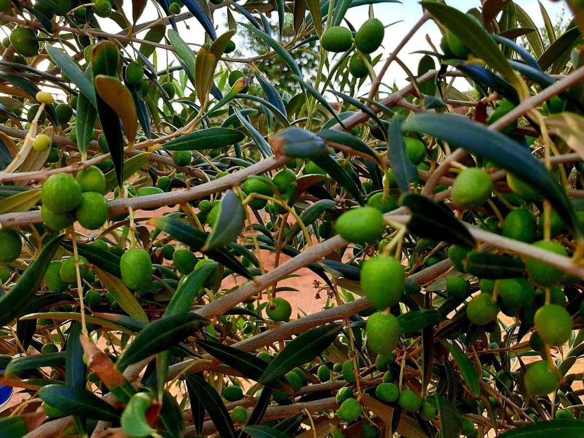 Agriturismo El Bounty1 Puerto del Rosario  Dış mekan fotoğraf