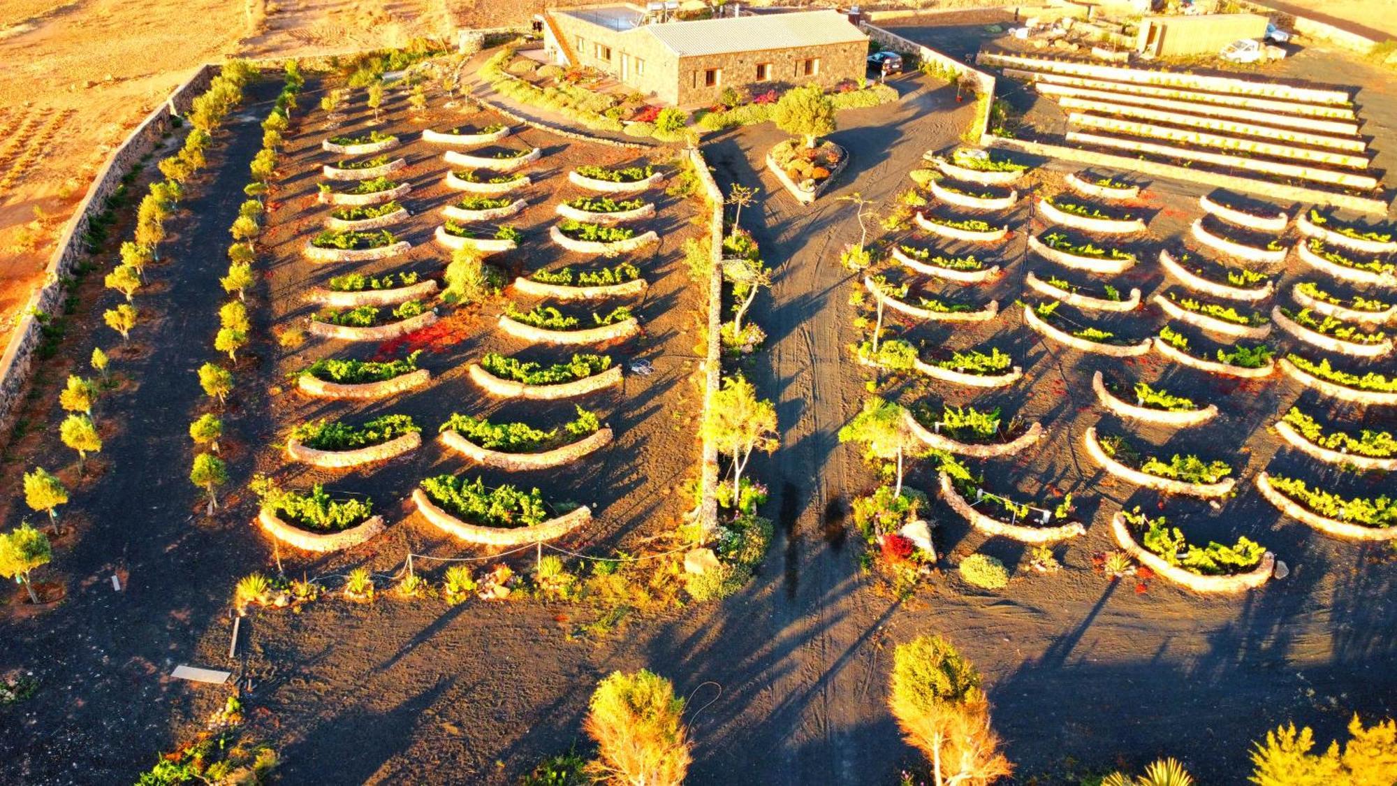 Agriturismo El Bounty1 Puerto del Rosario  Dış mekan fotoğraf